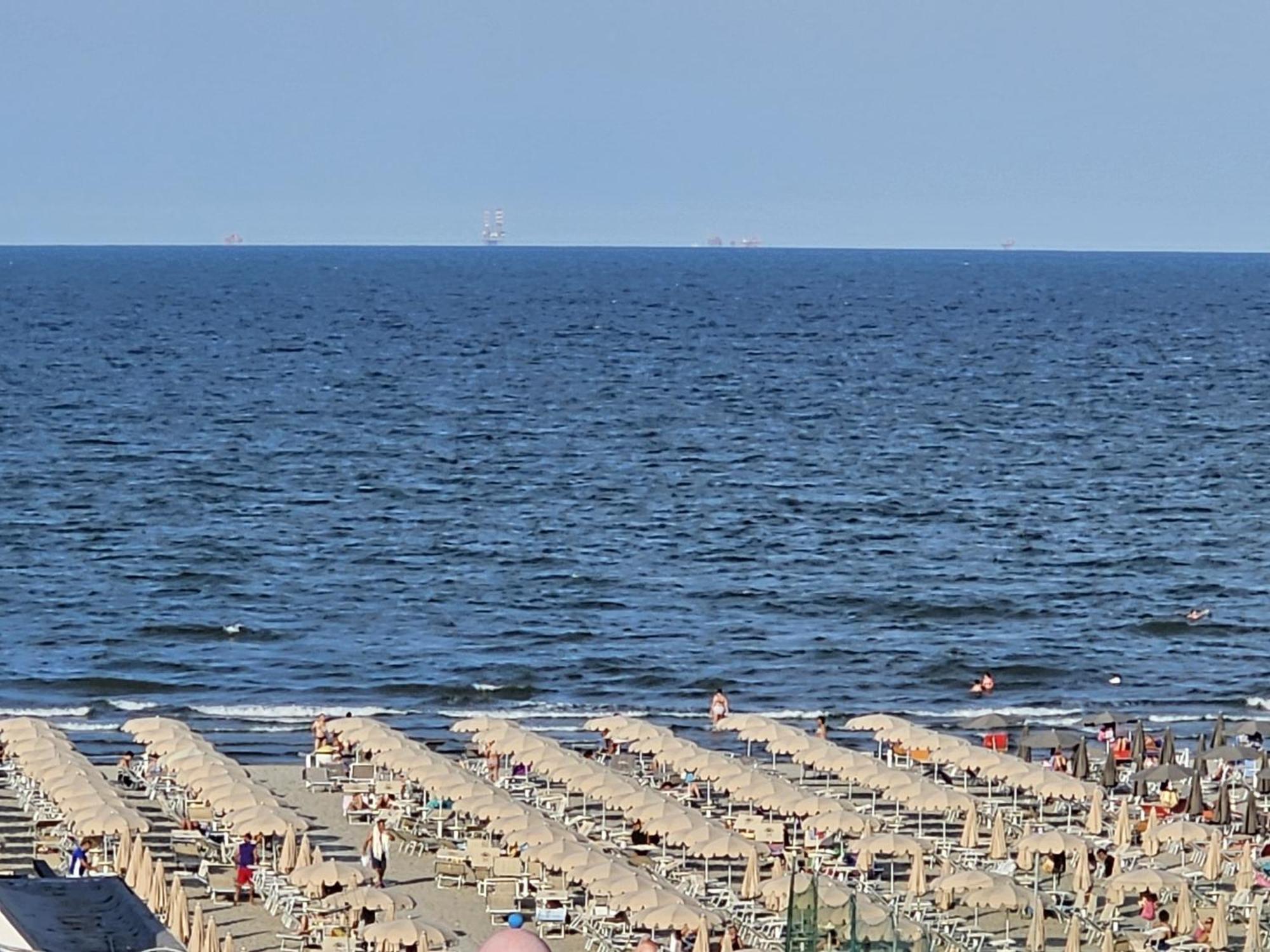 Gabbiano